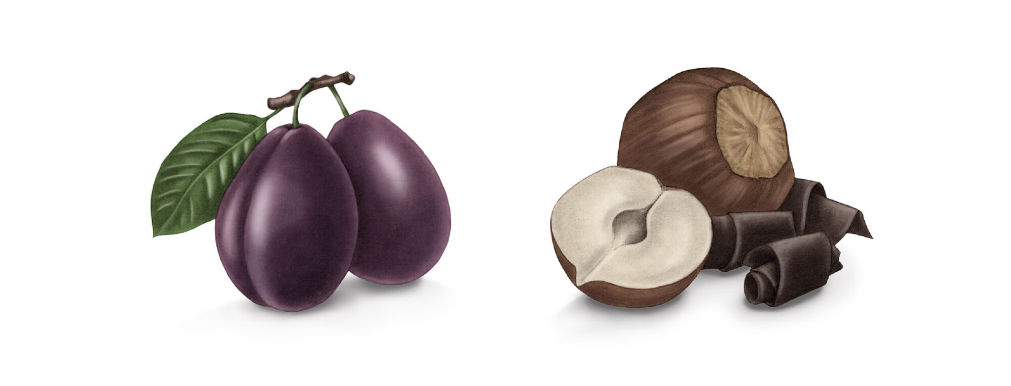 giulia-borsi-illustration-label-design-plums-hazelnuts-chocolate
