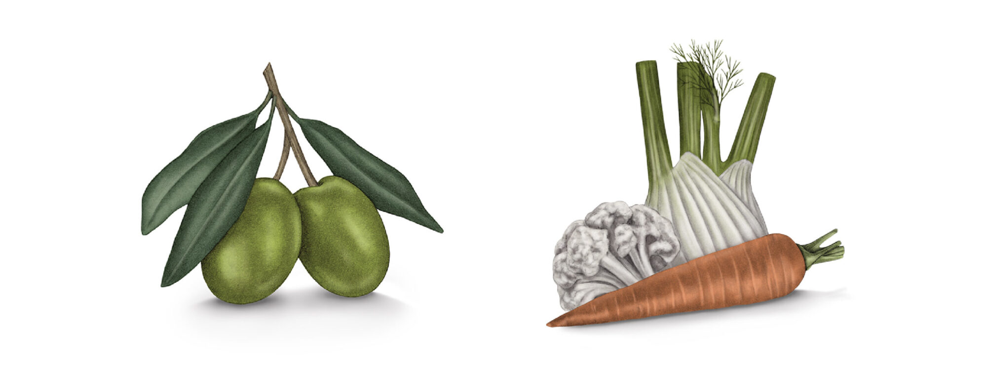 giulia-borsi-illustration-label-design-olives-carrots-fennel-cauliflower