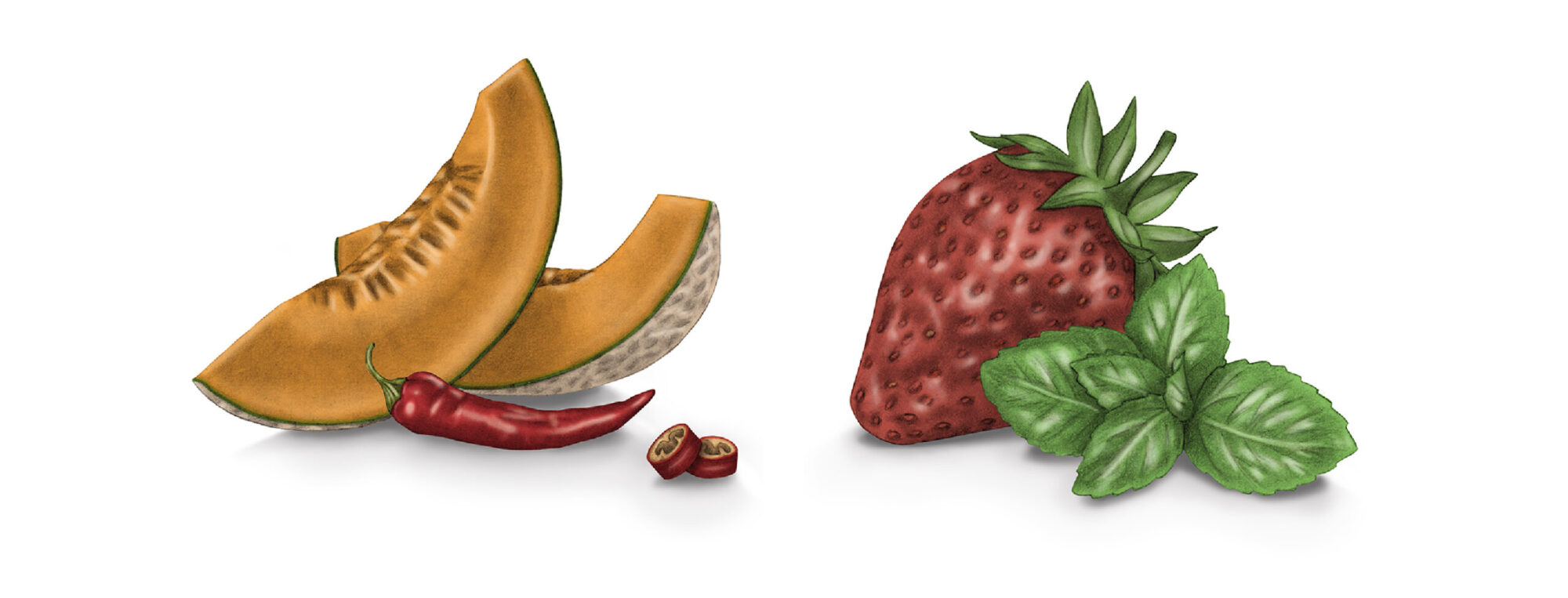 giulia-borsi-illustration-label-design-melon-strawberry-mint