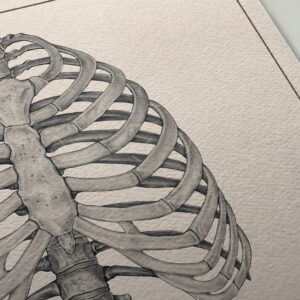 rib-cage-and-scorpion-print-detail