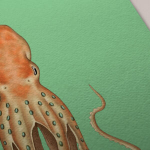 octopus-print-detail