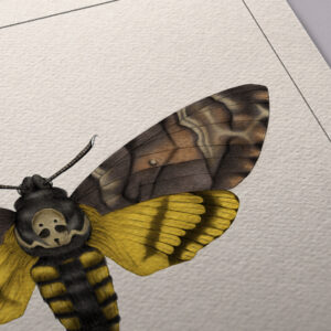 moth-print-detail