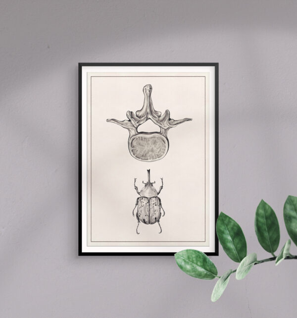 vertebra-and-beetle-print