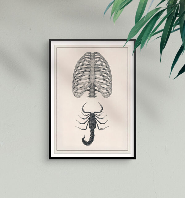 rib-cage-and-scorpion-print