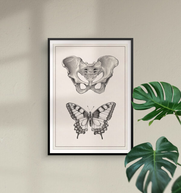 hip-bone-and-butterfly-print