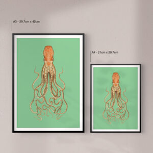 octopus-print-size