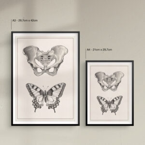 hip-bone-and-butterfly-print-size