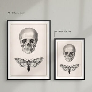 skull-and-moth-print-size