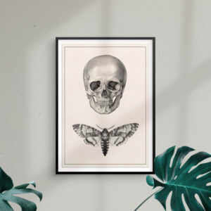 skull-and-moth-print