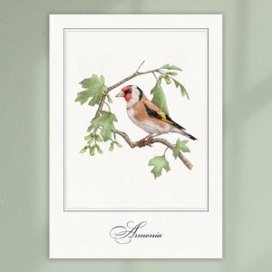 goldfinch-print
