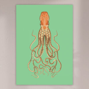 octopus-print